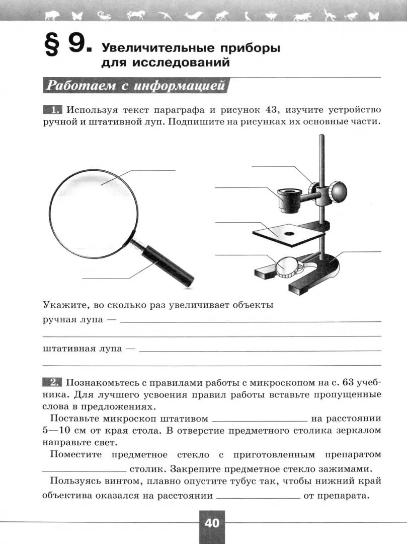 Биология. Рабочая тетрадь. 5 класс. Базовый уровень